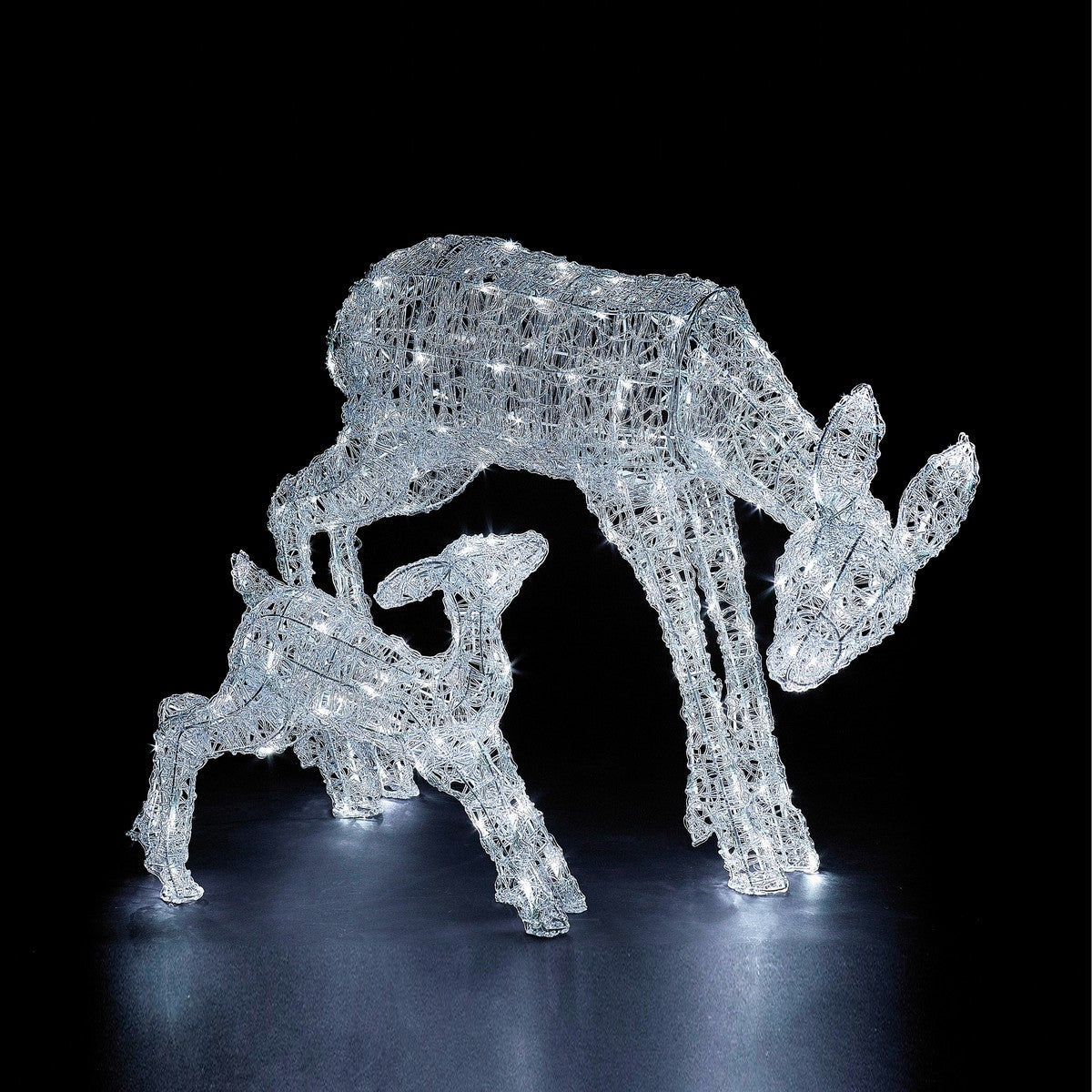 Christmas Deer And Doe Acrylic Light by Astralis