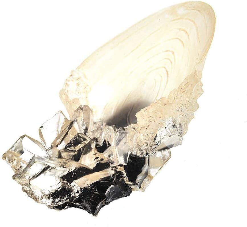 Harry Potter: The Crystal Goblet from The Cave by The Noble Collection