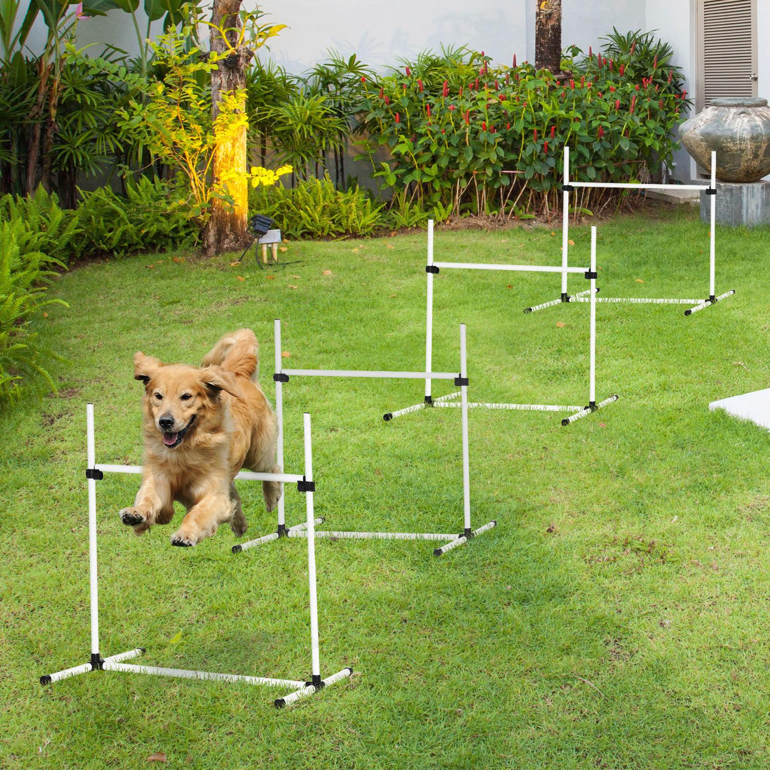 PawHut Canine Agility Set-White only