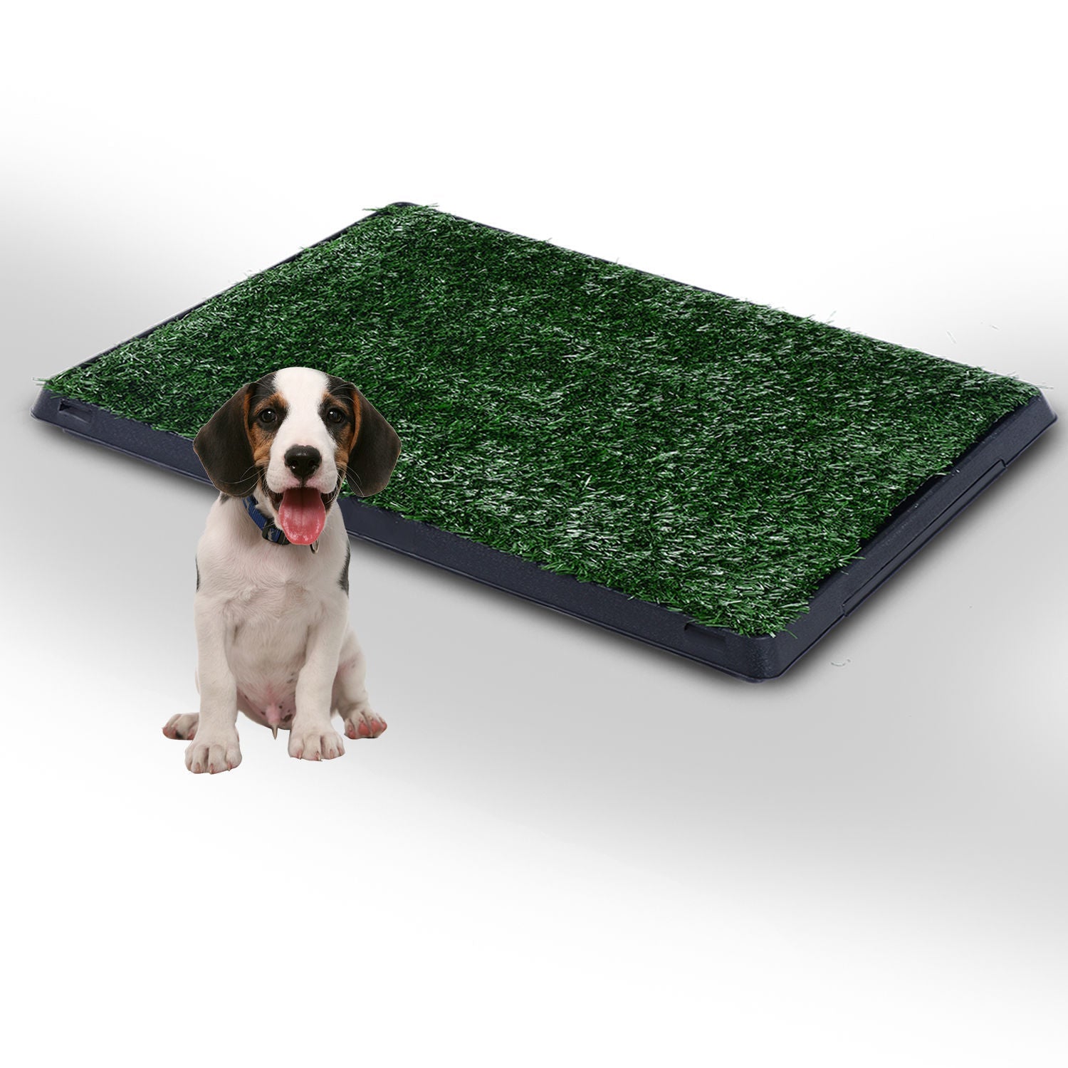 Training Pad Puppy Toilet Training Grass Mat PawHut Indoor Pet