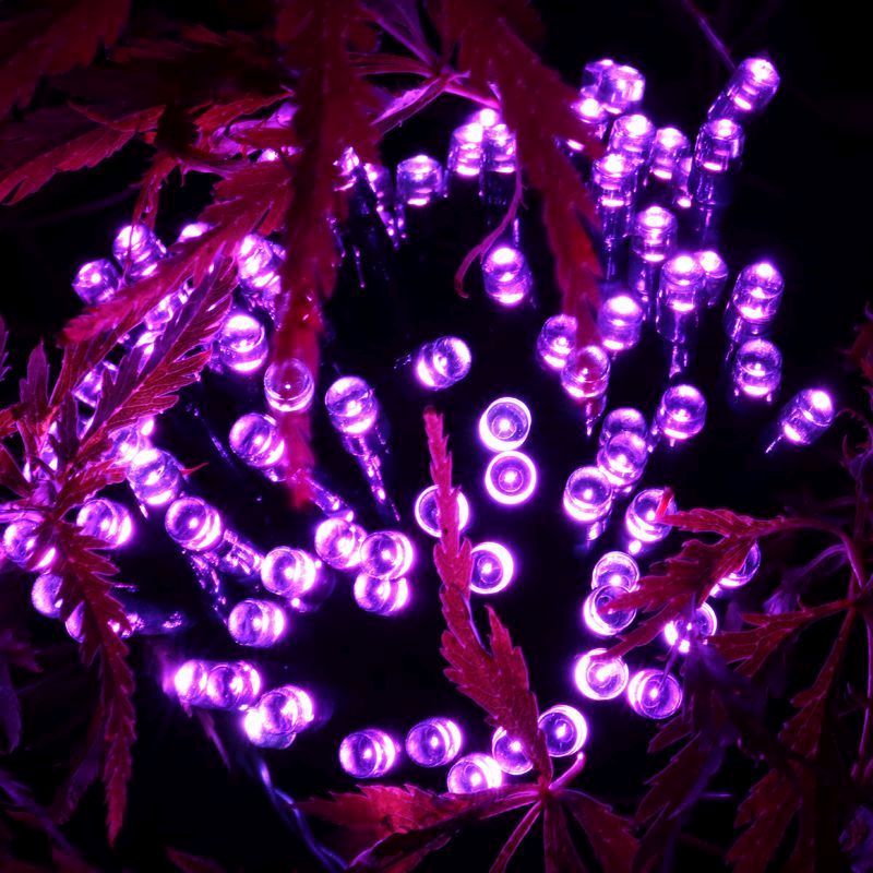 Bright Garden 100 LED Solar Lights Purple