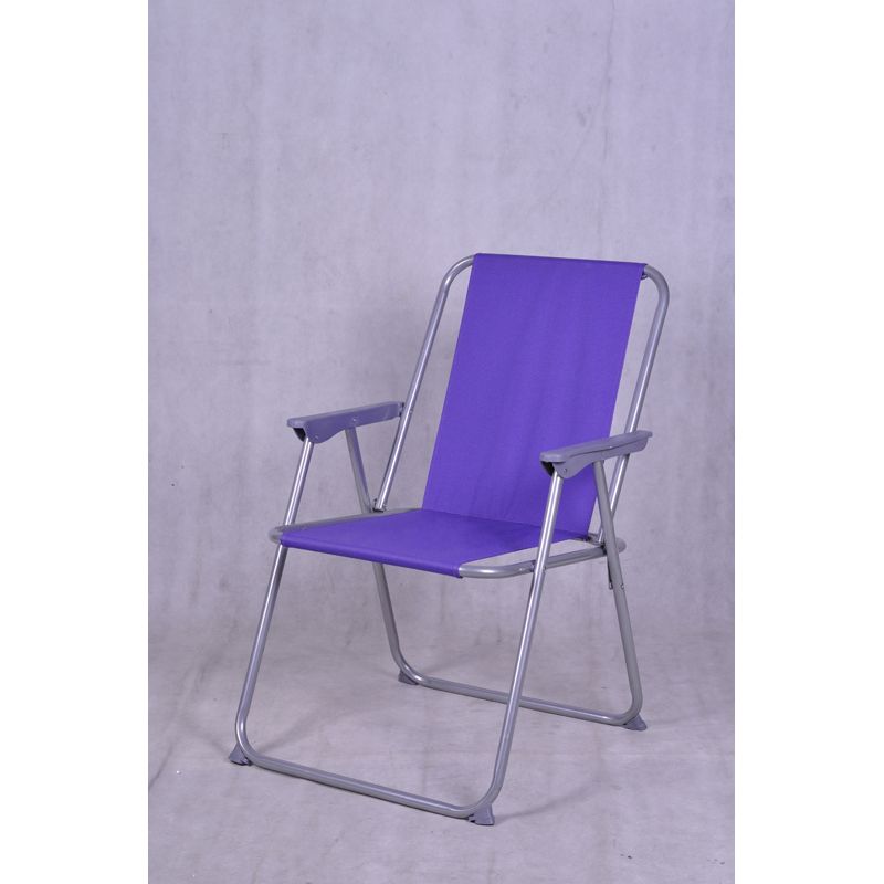 Folding Picnic Chair Purple
