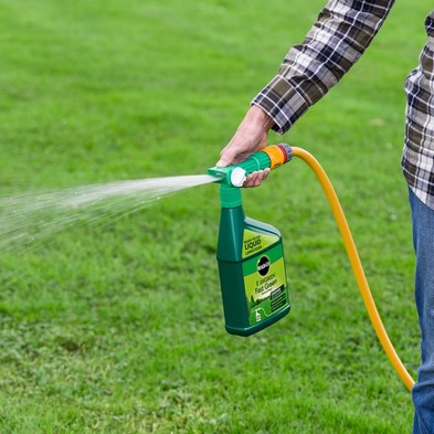 See more information about the Miracle Gro 1L Fast Green Spray & Feed