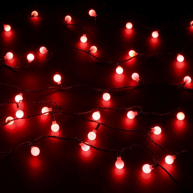 100 Red Berry LED Light