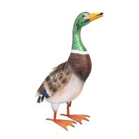 See more information about the Drake Duck Metal Garden Sculpture 49cm