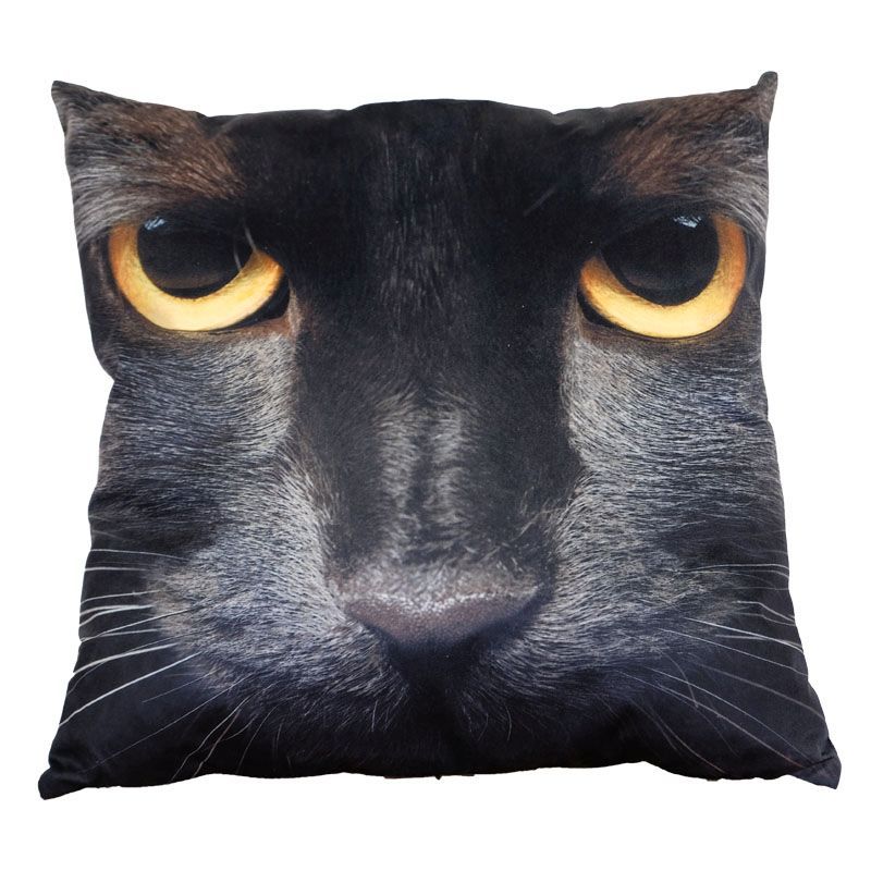 Photographic Animal Cushion 45 x 45cm (Black Cat)