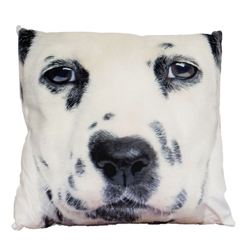 Photographic Animal Cushion 70 x 70cm (Dalmatian)