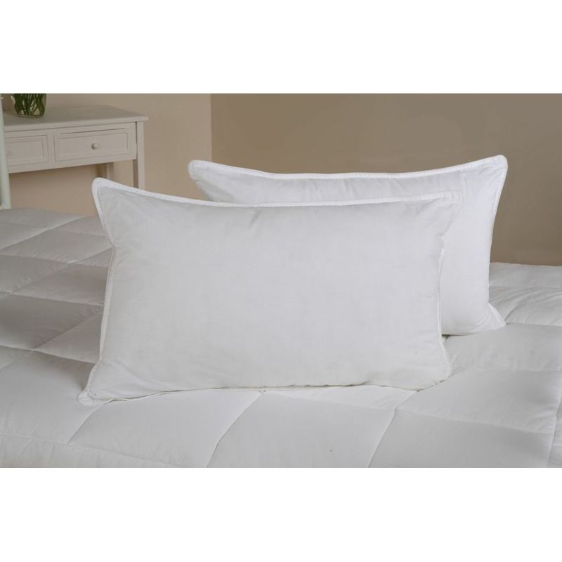 Anti-Allergy Duck Feather Down Pillows (2 Pack)