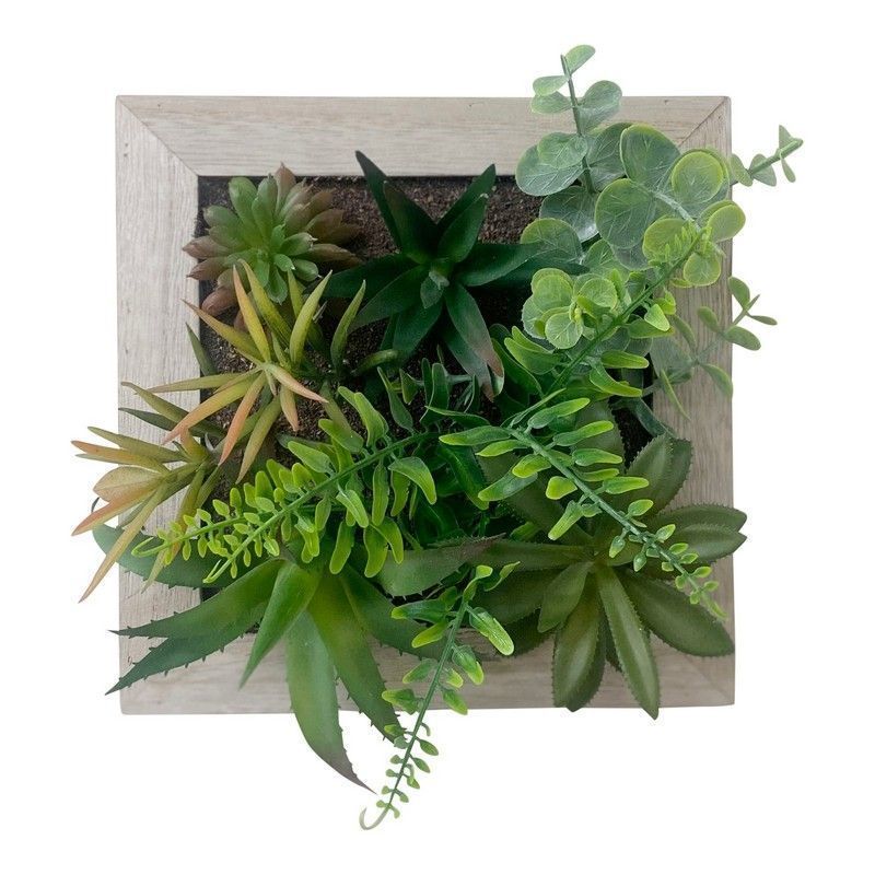 Frame Faux Succulent Wood Wall Mounted - 20cm