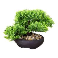 See more information about the Bonsai Artificial Plant Green - 26cm