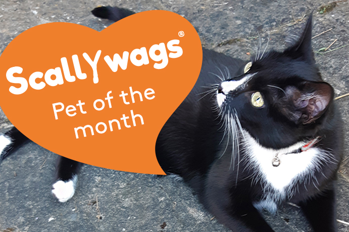 Scallywags Pet Of The Month – January