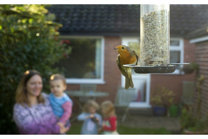 Mother with three children in a back garden watching a robin on a bird feeder