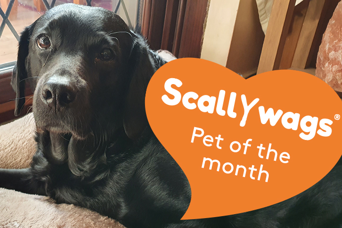 Scallywags Pet of the Month – February