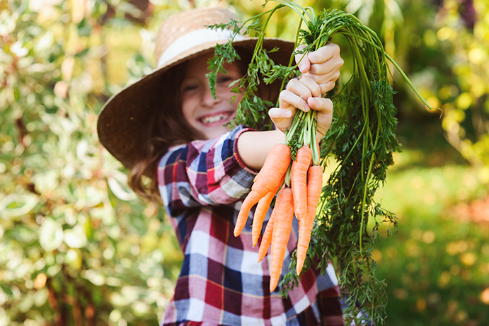 Child holding a bunch of freshly pulled carrots towards the camera and smiling