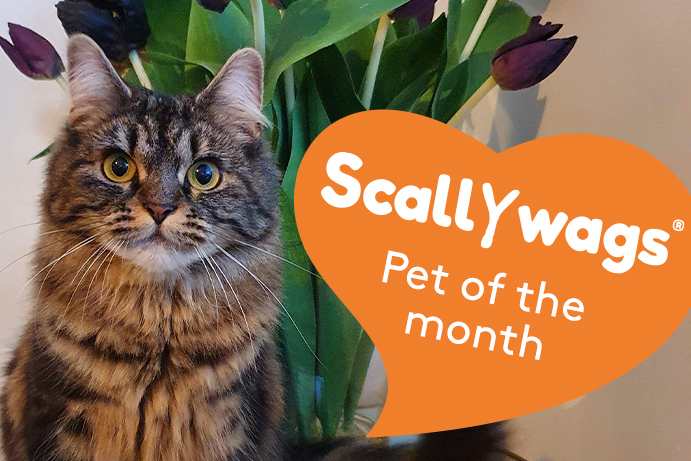 Scallywags Pet of the Month – April