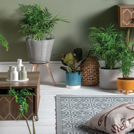 Various house plants in plant pots of different styles in a living room with a white floor