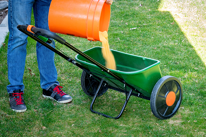 Person filling a spreader ready to apply to a green lawn