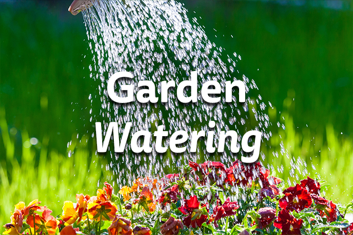 Top Tips for Garden Watering