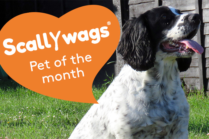 Scallywags Pet of the Month – April ’23