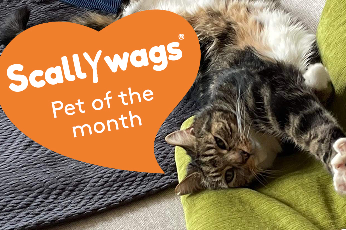 Scallyways Pet of the Month – August ’23