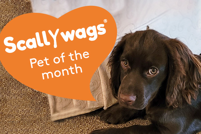 Scallywags Pet of the Month – February ’23