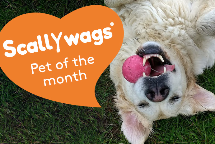 Scallywags Pet of the Month – June ’23