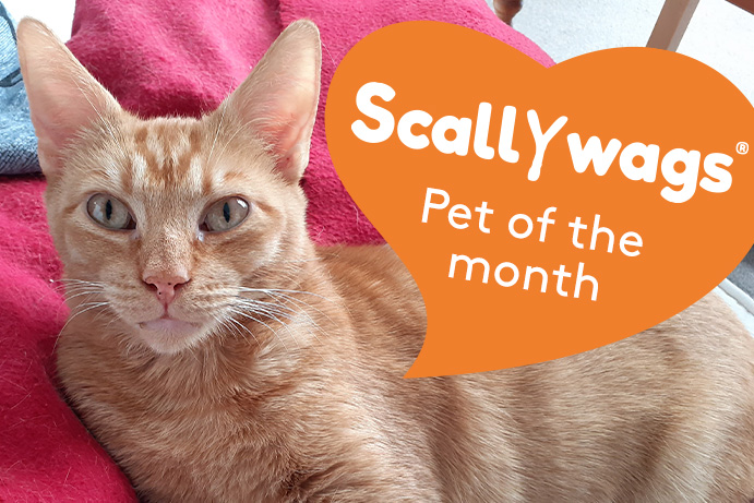 Scallywags Pet of the Month – March ’23