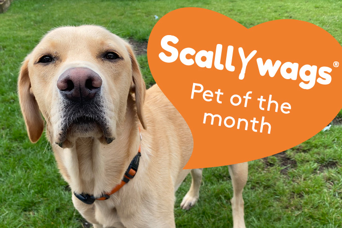 Scallywags Pet of the Month – November