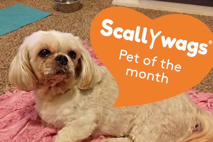 Scallywags Pet of the Month – September ’23