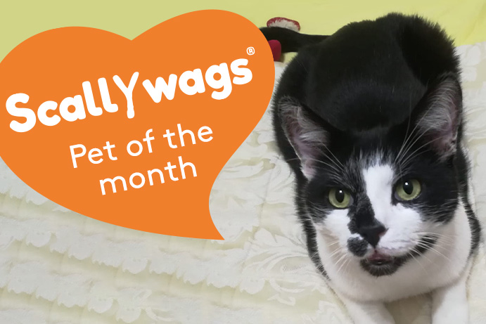 Scallywags Pet of the Month – May ’23