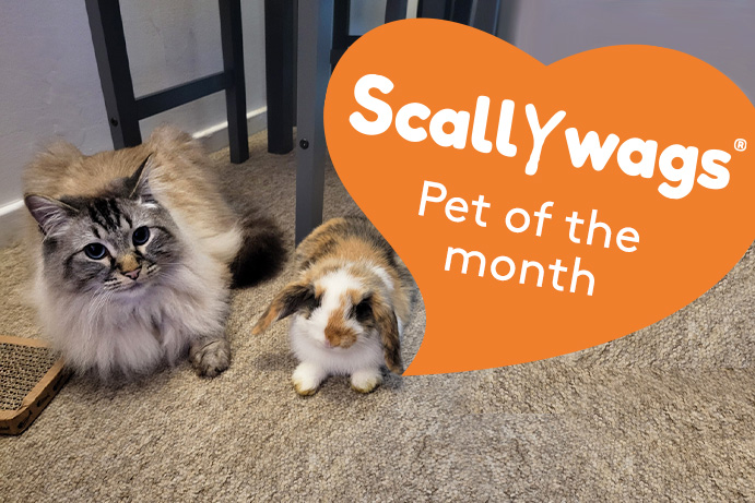 Scallywags Pet of the Month – January ’23