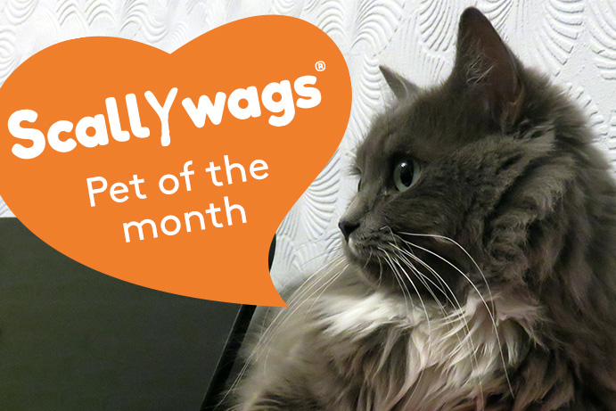 Scallywags Pet of the Month – December