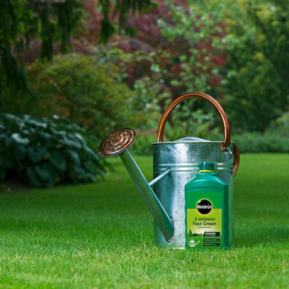 Miracle Gro 1L Fast Green Lawn Food - 100 Square Metres Coverage