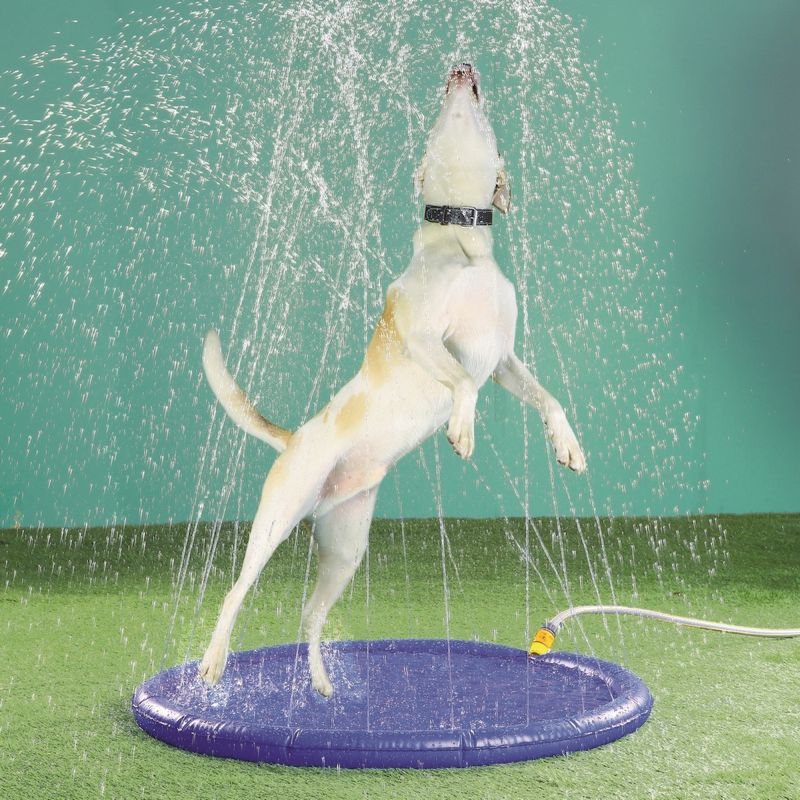 Underwater Treadmill Hydrotherapy Pool For Dogs Near Me Underwater