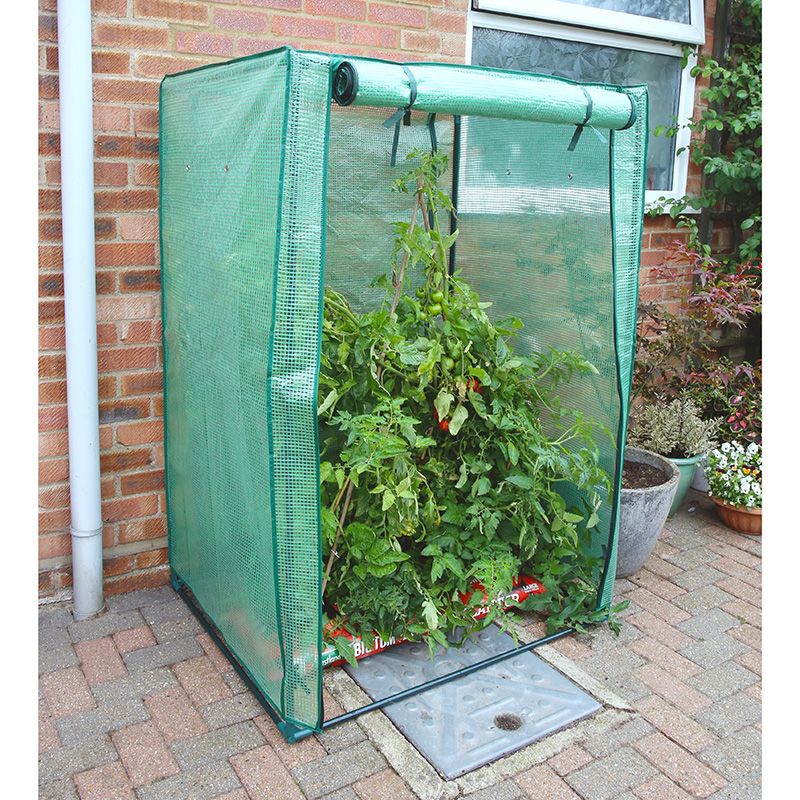 Yeoman Tomato Growhouse 1.5m Tall Primary Image