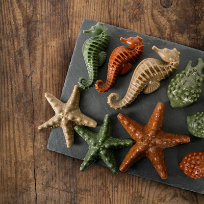 Sea Creature Small Dog Vegetable Dental Chew by Elkwood 100g