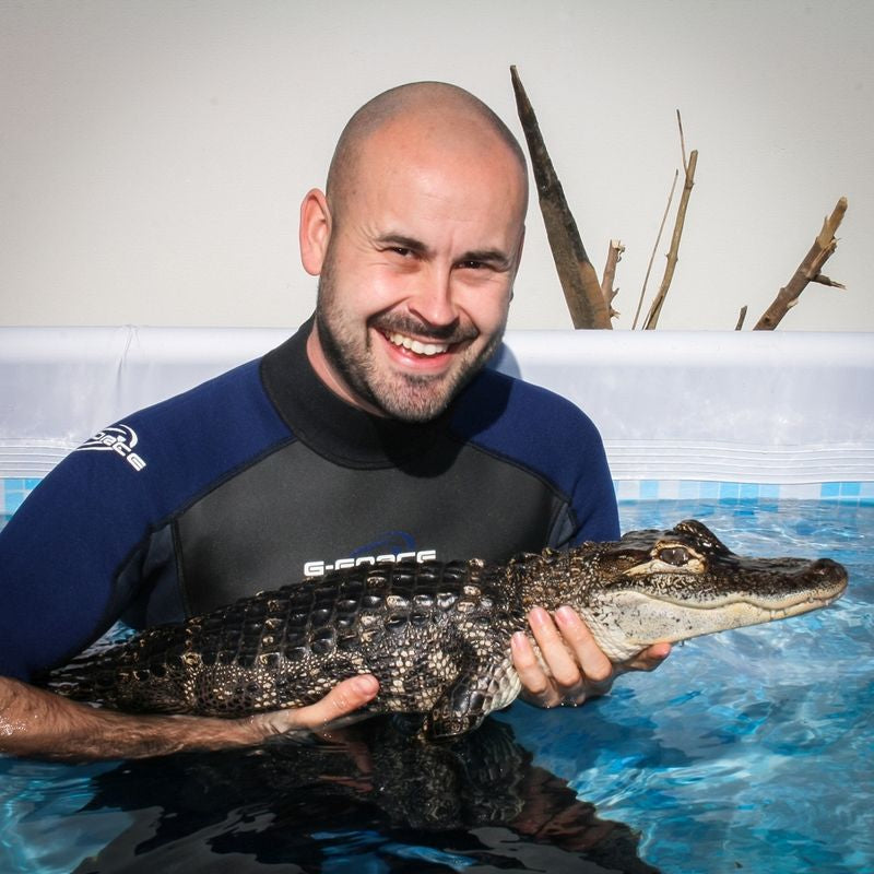 Swimming with Crocodiles for Two And Lunch - Gift Experience Primary Image