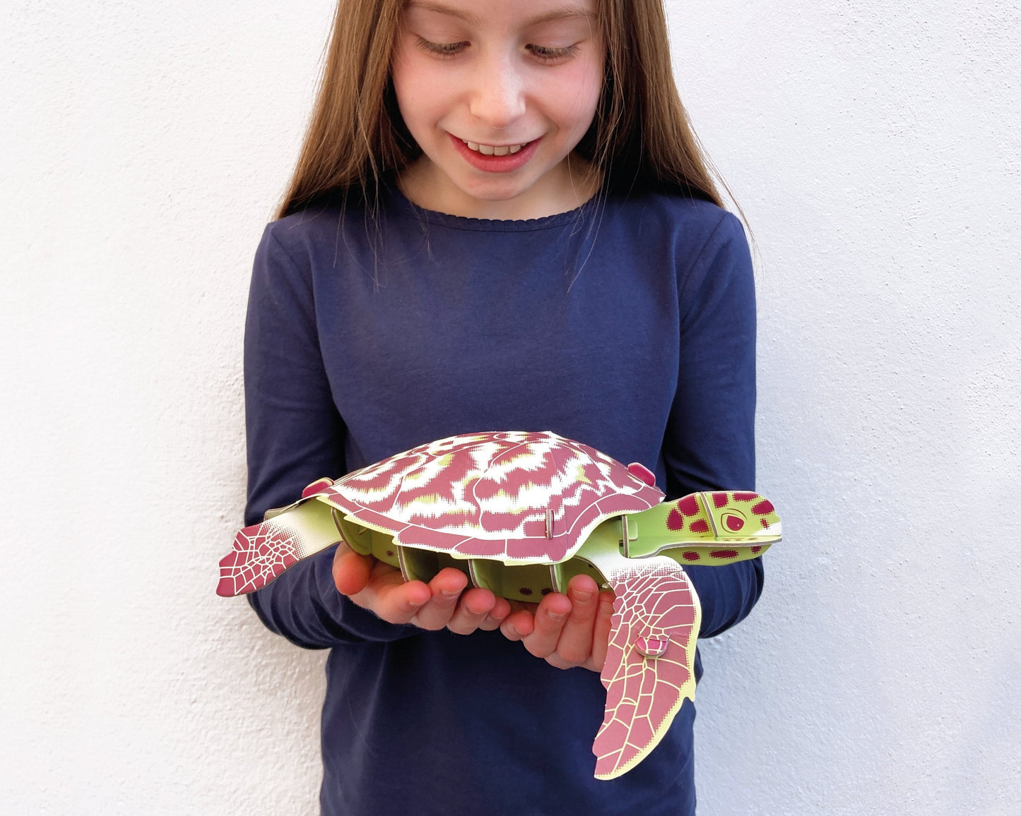 Hawksbill Turtle - Build Your Own