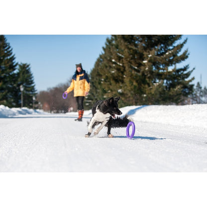 Small Dog Frisbee Purple Plastic 20cm by PULLER