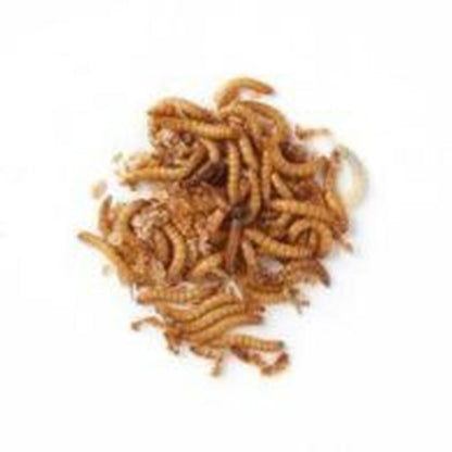 Dried Mealworms Bird Feed By Nature Watch - 100g Bag