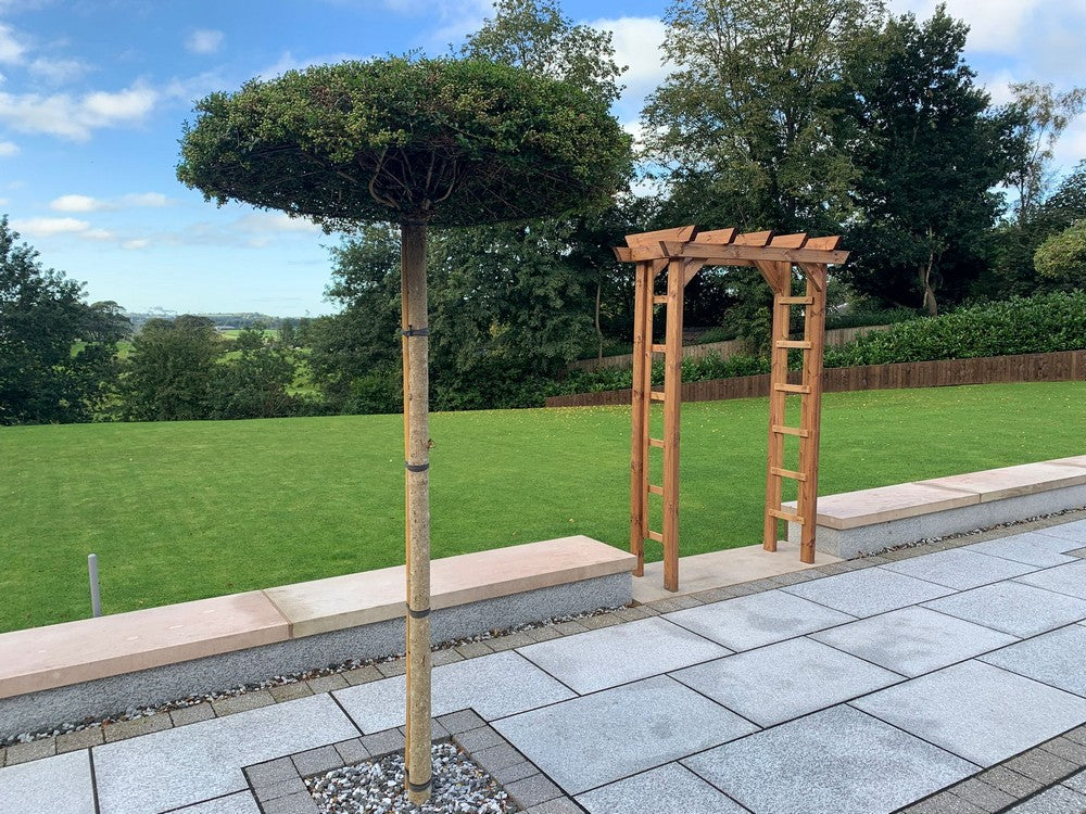 Scandinavian Redwood Garden Arch by Charles Taylor Primary Image