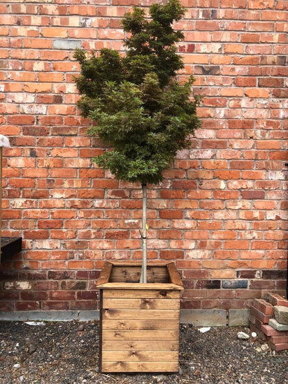 Windsor Garden Planter by Charles Taylor