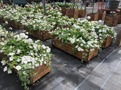 Large Scandinavian Redwood Garden Planter Trough