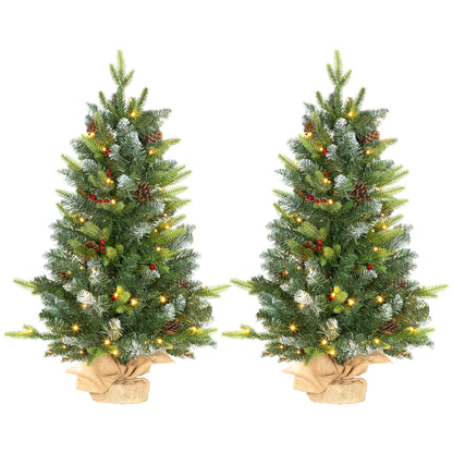 2x 3ft Burlap Base Christmas Tree Artificial - White Frosted Green with LED Lights Warm White 291 Tips Primary Image