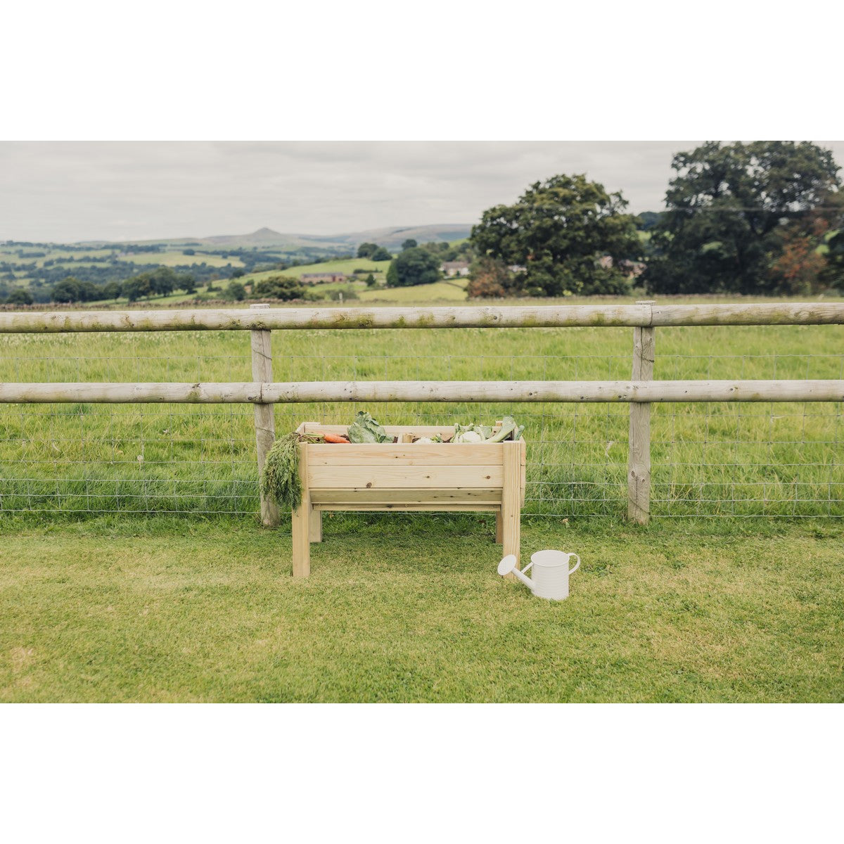 Veg Trug Garden Planter by Churnet Valley - PL10
