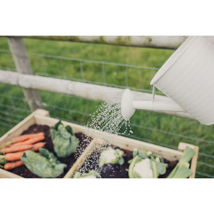 Veg Trug Garden Planter by Churnet Valley - PL10