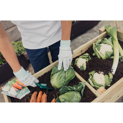 Veg Trug Garden Planter by Churnet Valley - PL10