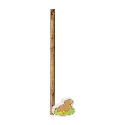 Capybara Pencil & Eraser Topper - Assorted