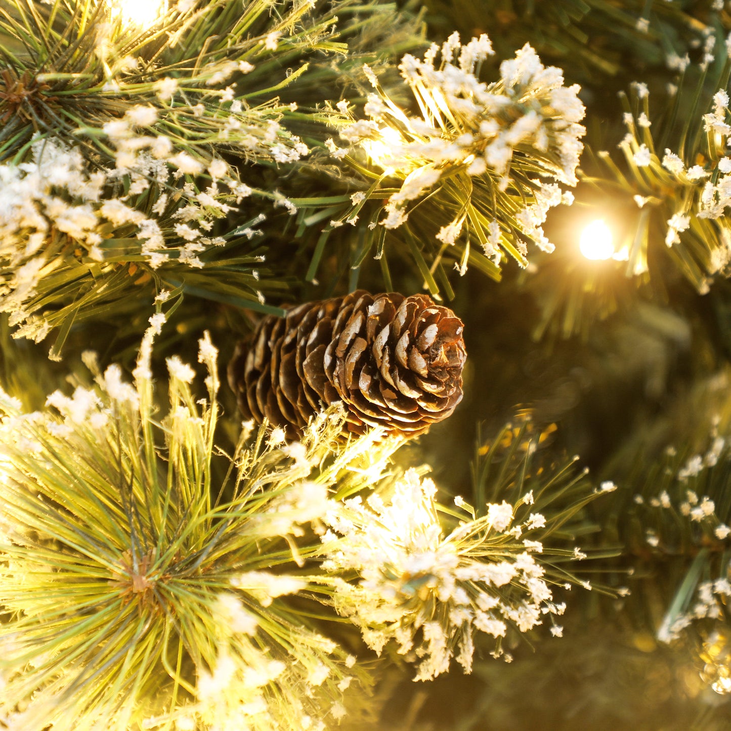 2ft Prelit Christmas Tree Artificial - White Frosted Green Ornament Warm White 64 Tips