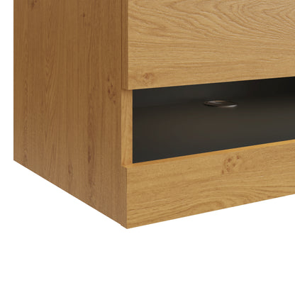 Leon TV Unit Oak 2 Shelves 2 Drawers